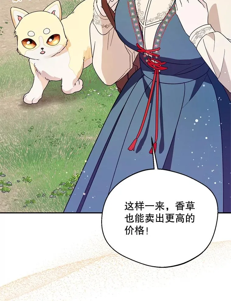 44.卖香草93