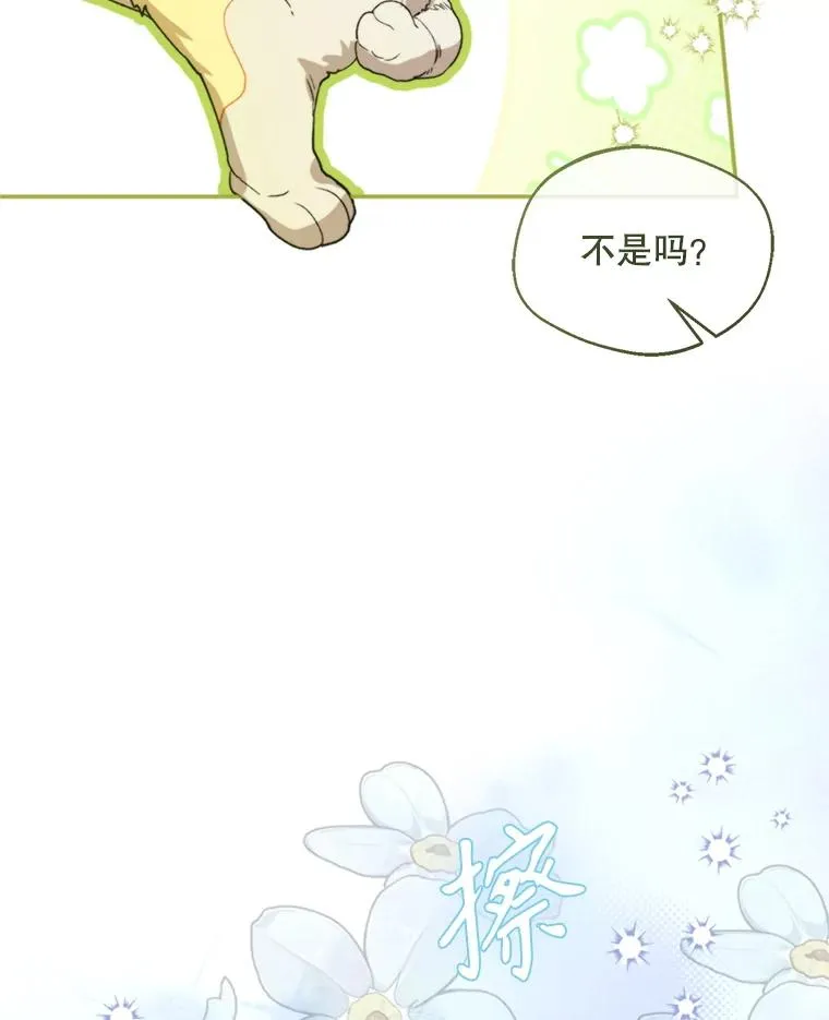 71.尼亚哈尔蒂19