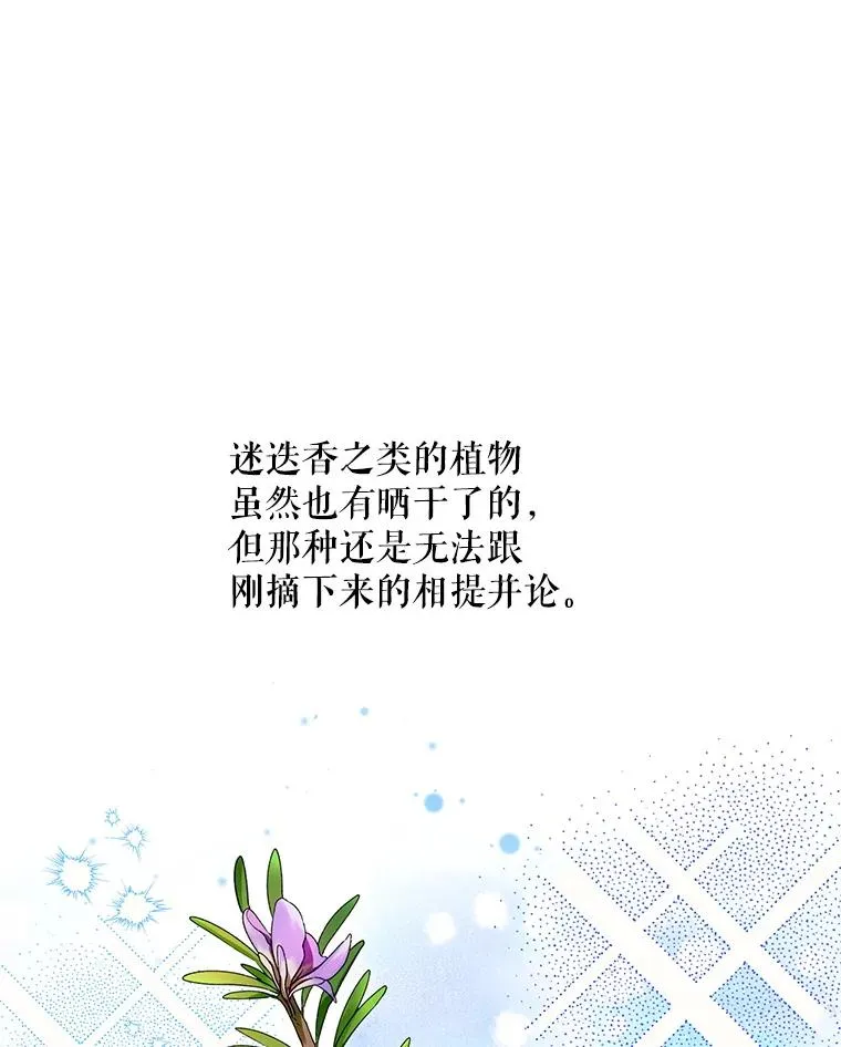 44.卖香草77