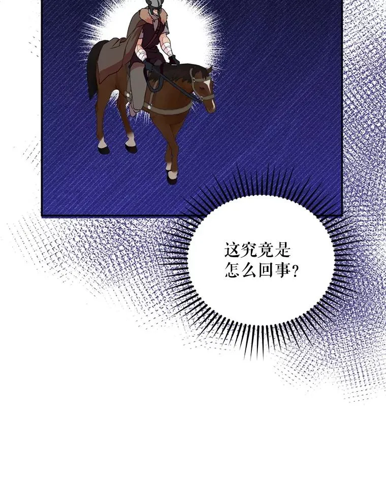 48.假哈尔汗出现83