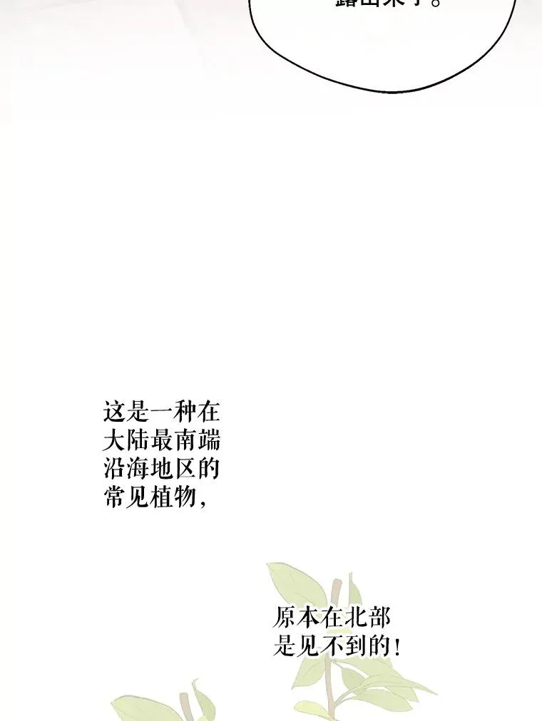 44.卖香草43