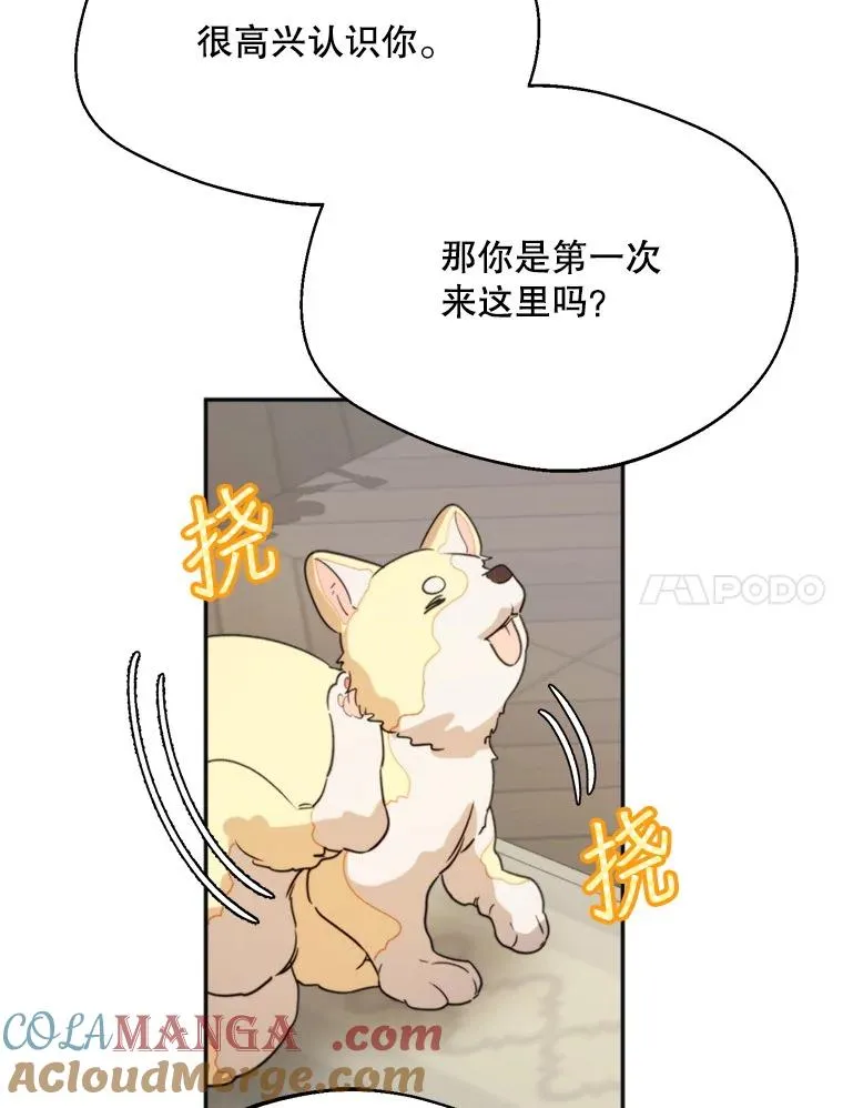 58.夏日庆典104