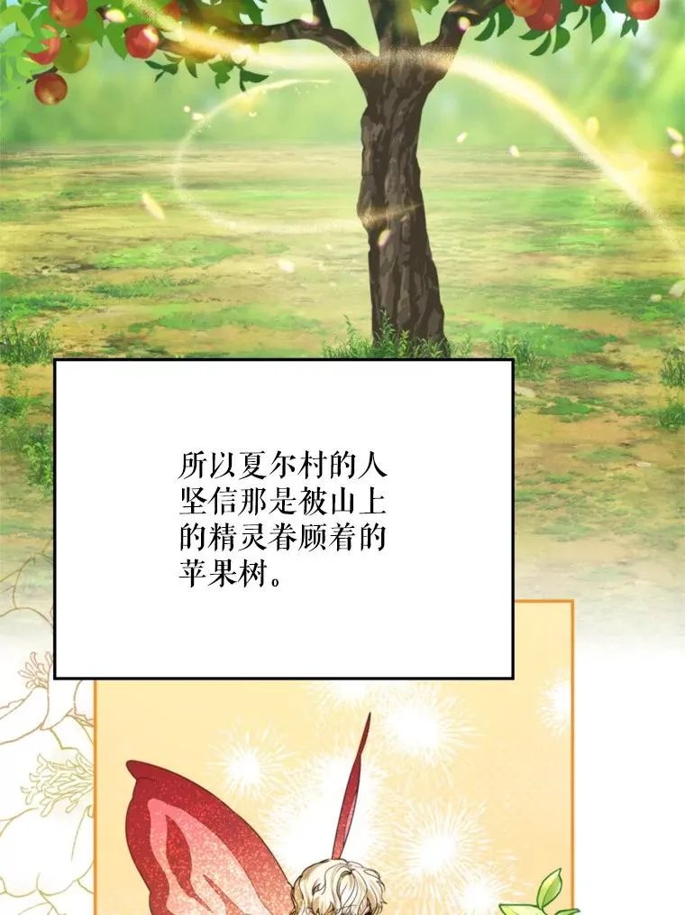 58.夏日庆典37