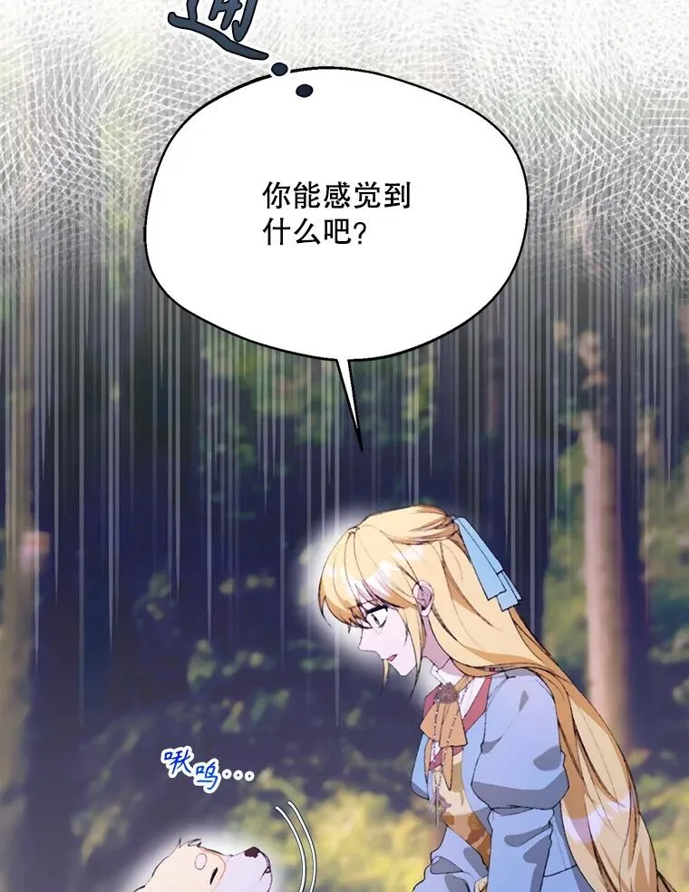 71.尼亚哈尔蒂15