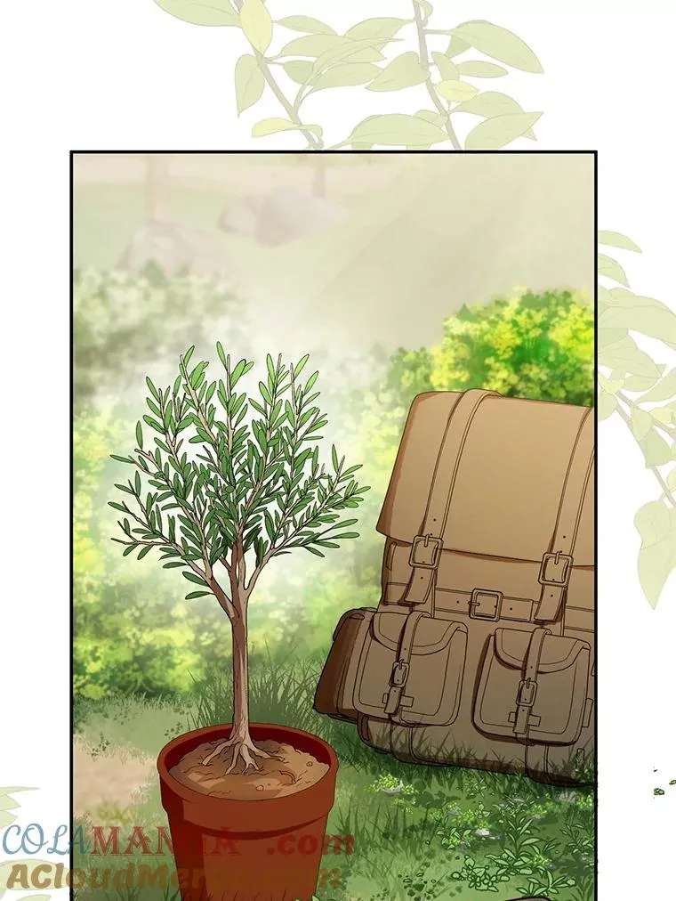 44.卖香草44