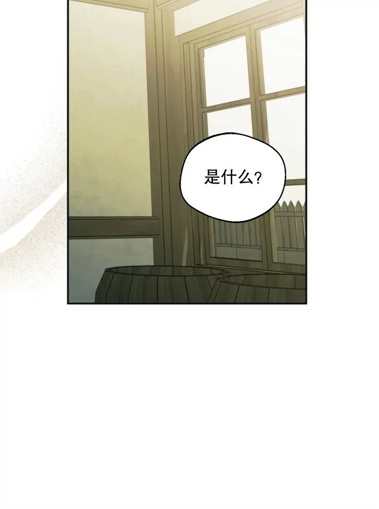 58.夏日庆典57