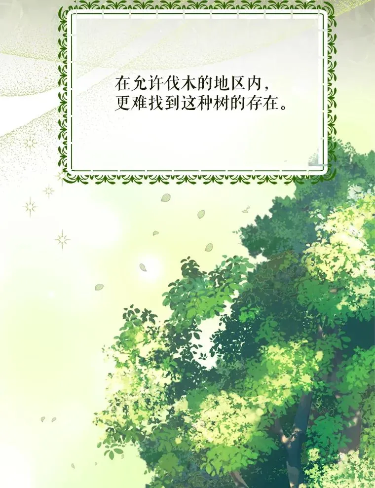 46.购买木材94