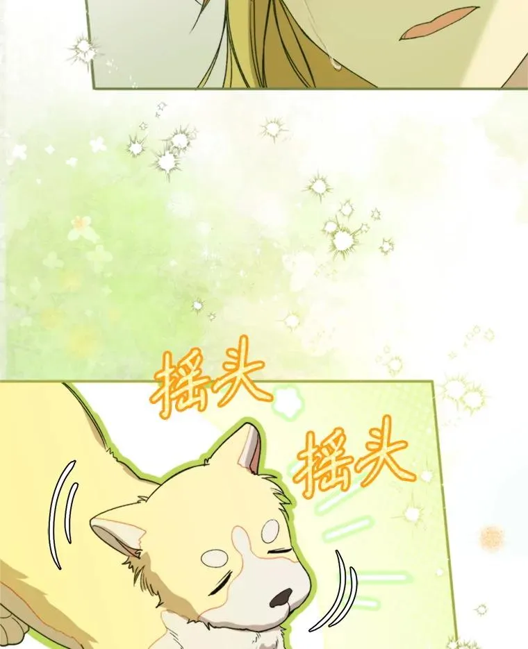 71.尼亚哈尔蒂18