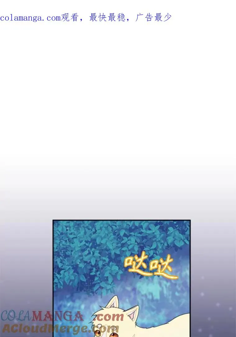 67.伴侣仪式0