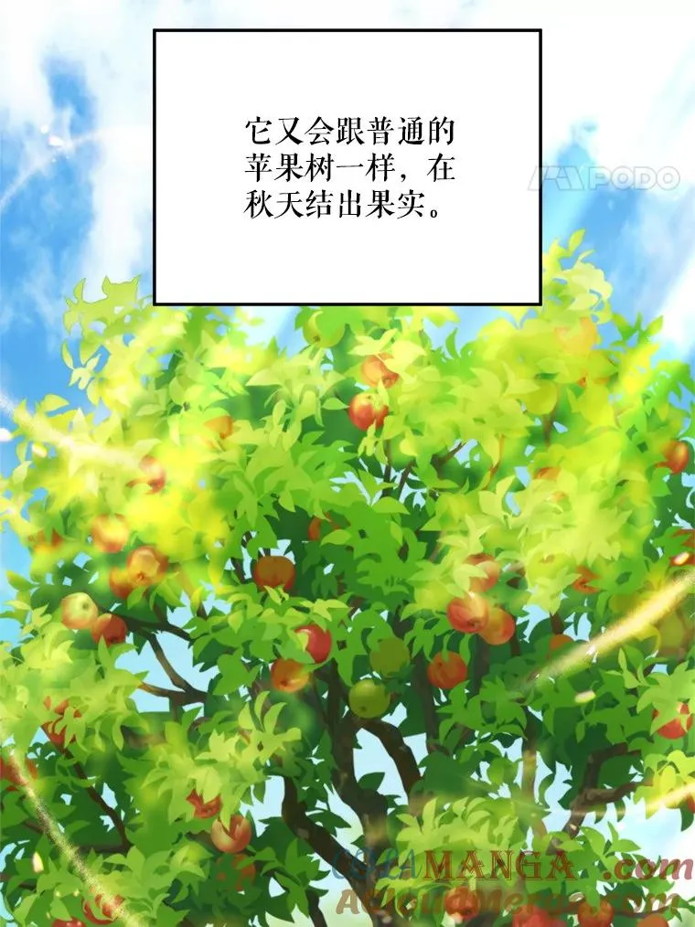 58.夏日庆典36