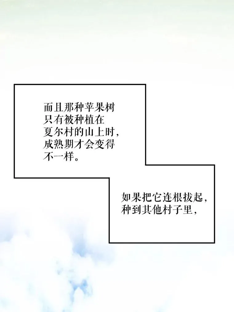 58.夏日庆典35
