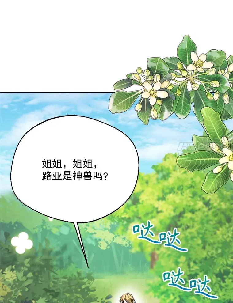 71.尼亚哈尔蒂43