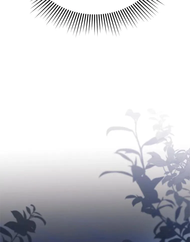 52.偶遇魔法师47