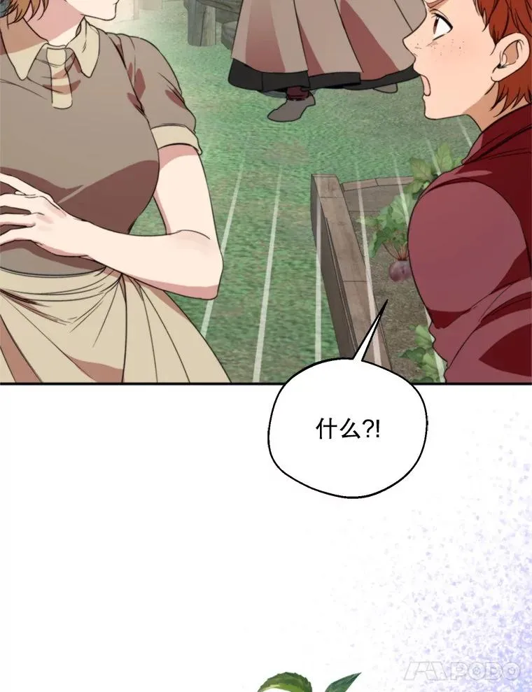 58.夏日庆典78