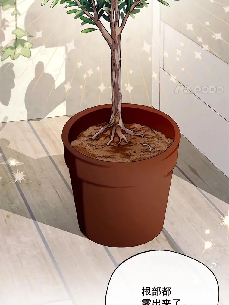 44.卖香草42