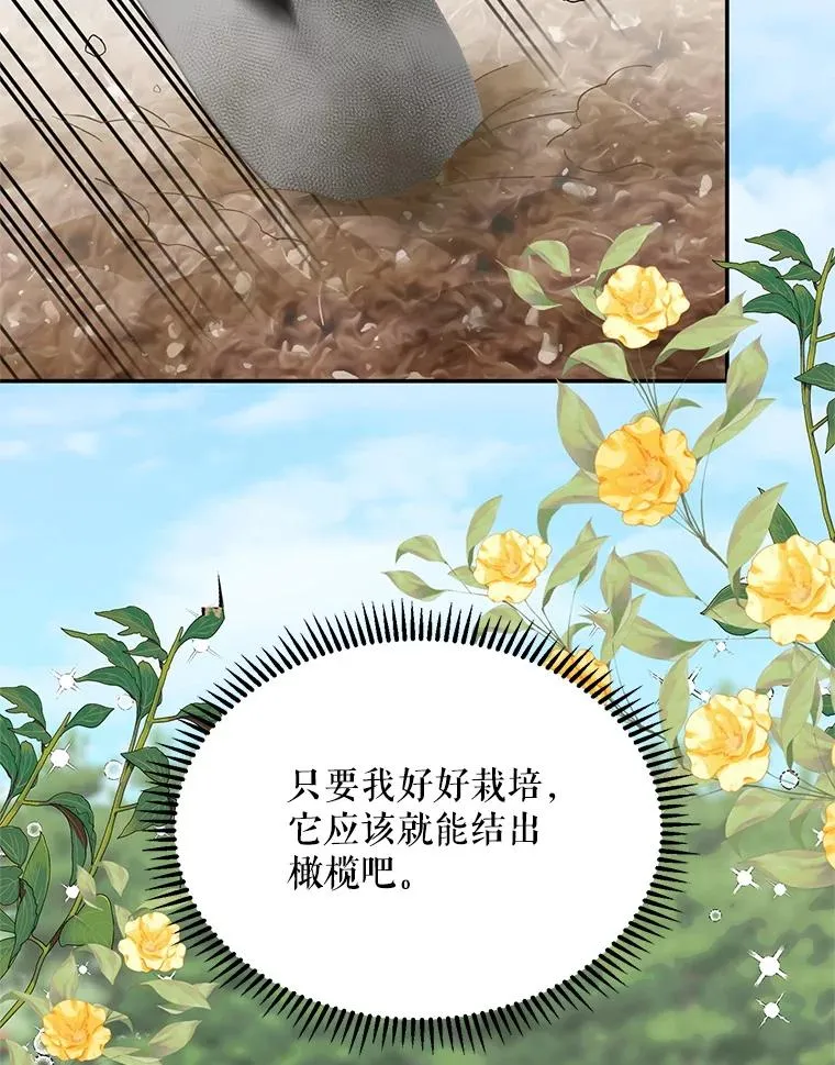44.卖香草47