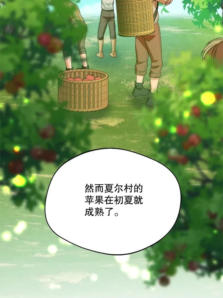 58.夏日庆典34