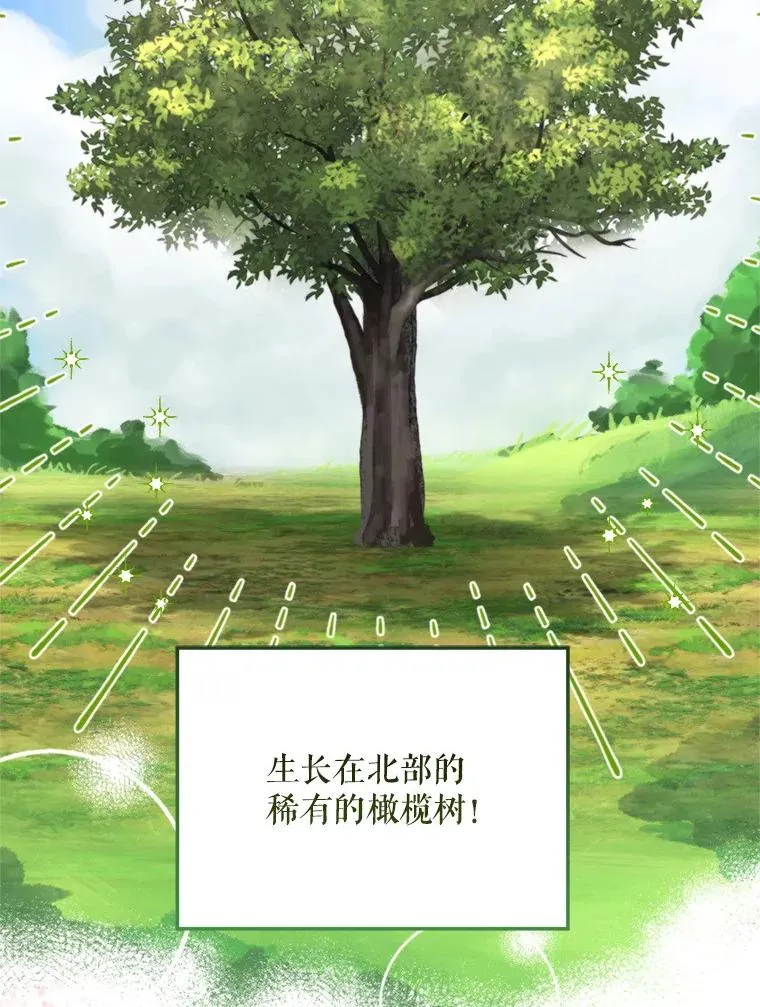 58.夏日庆典63