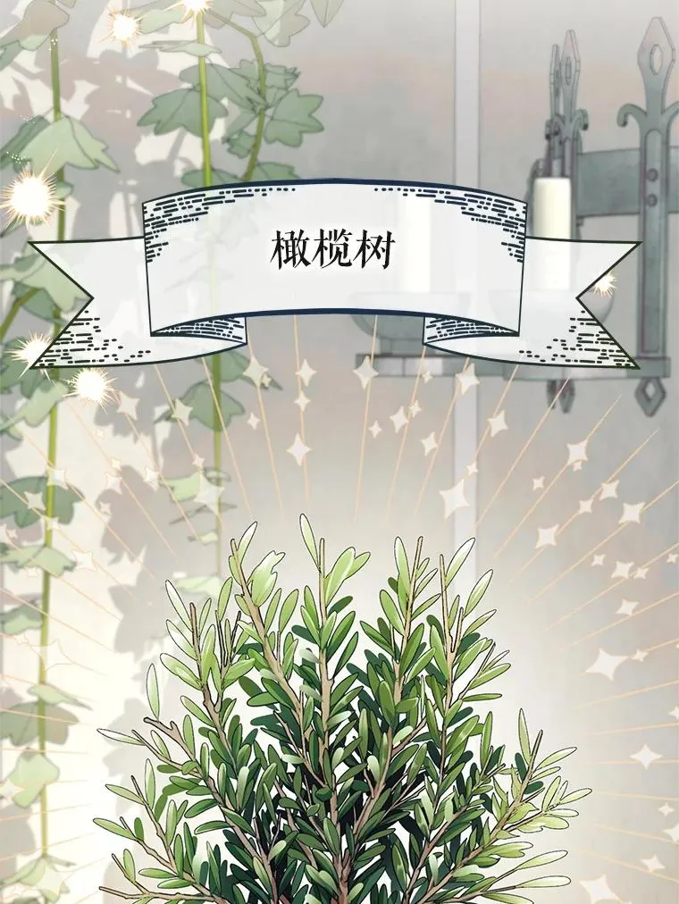 44.卖香草41