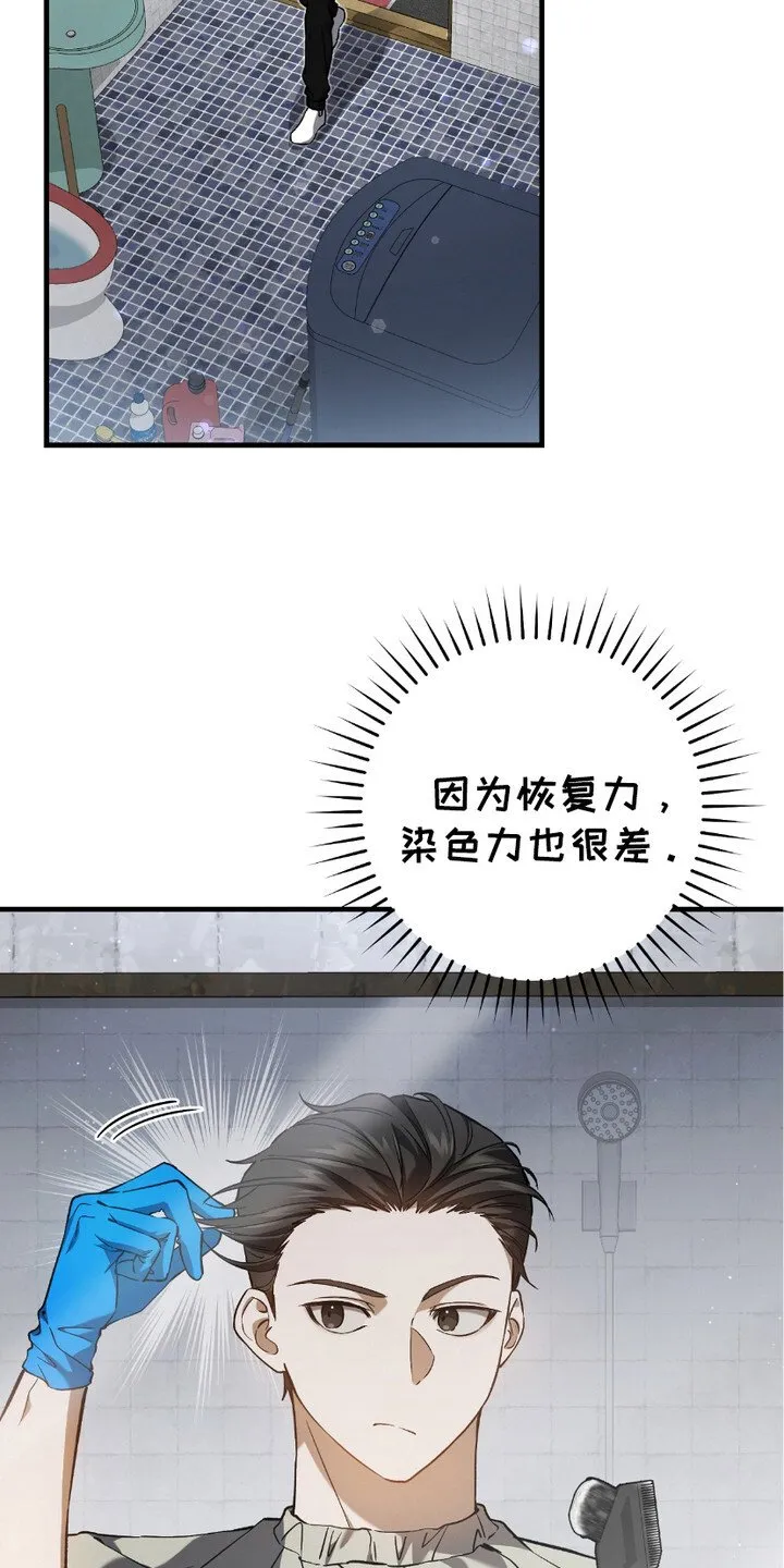 第17章：染发17