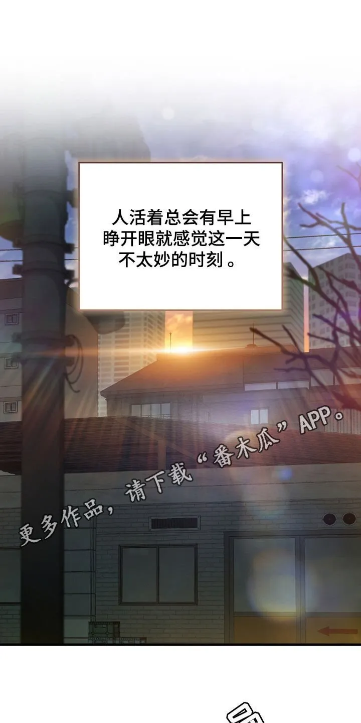 第20章：今日运势0