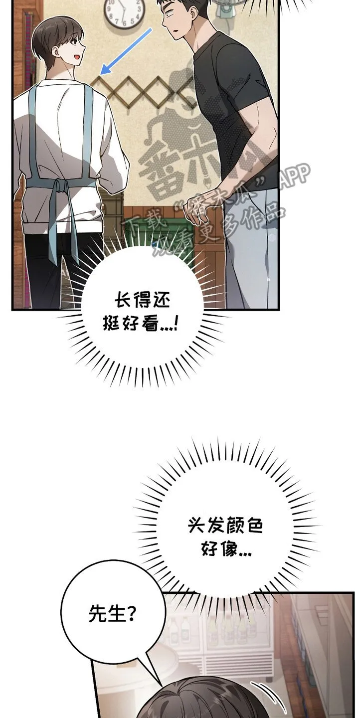 第16章：心大13