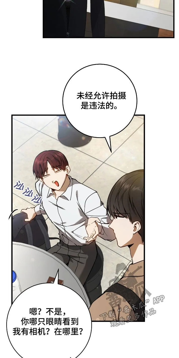 第29章：蜜蜂小姐6