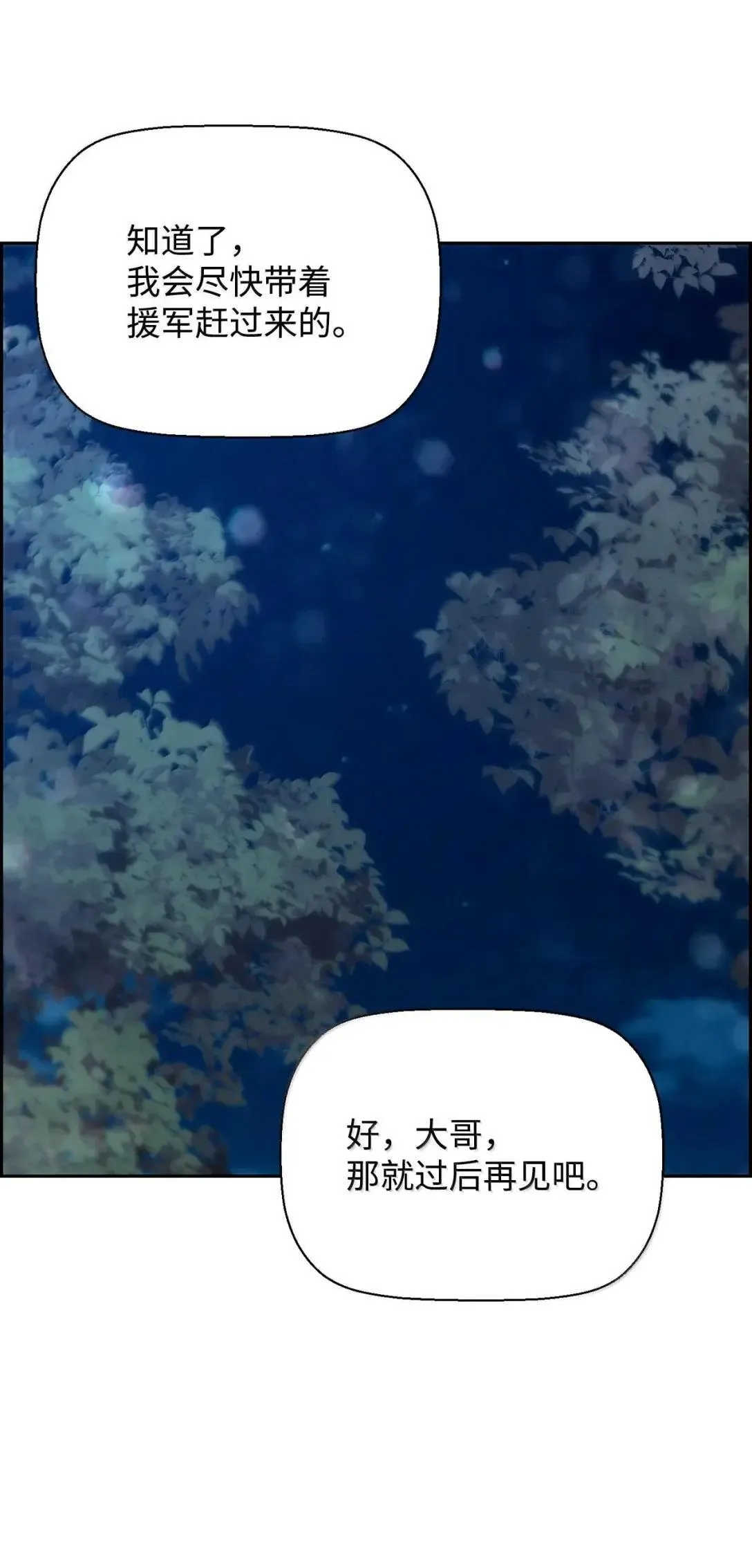 40 胡杉35