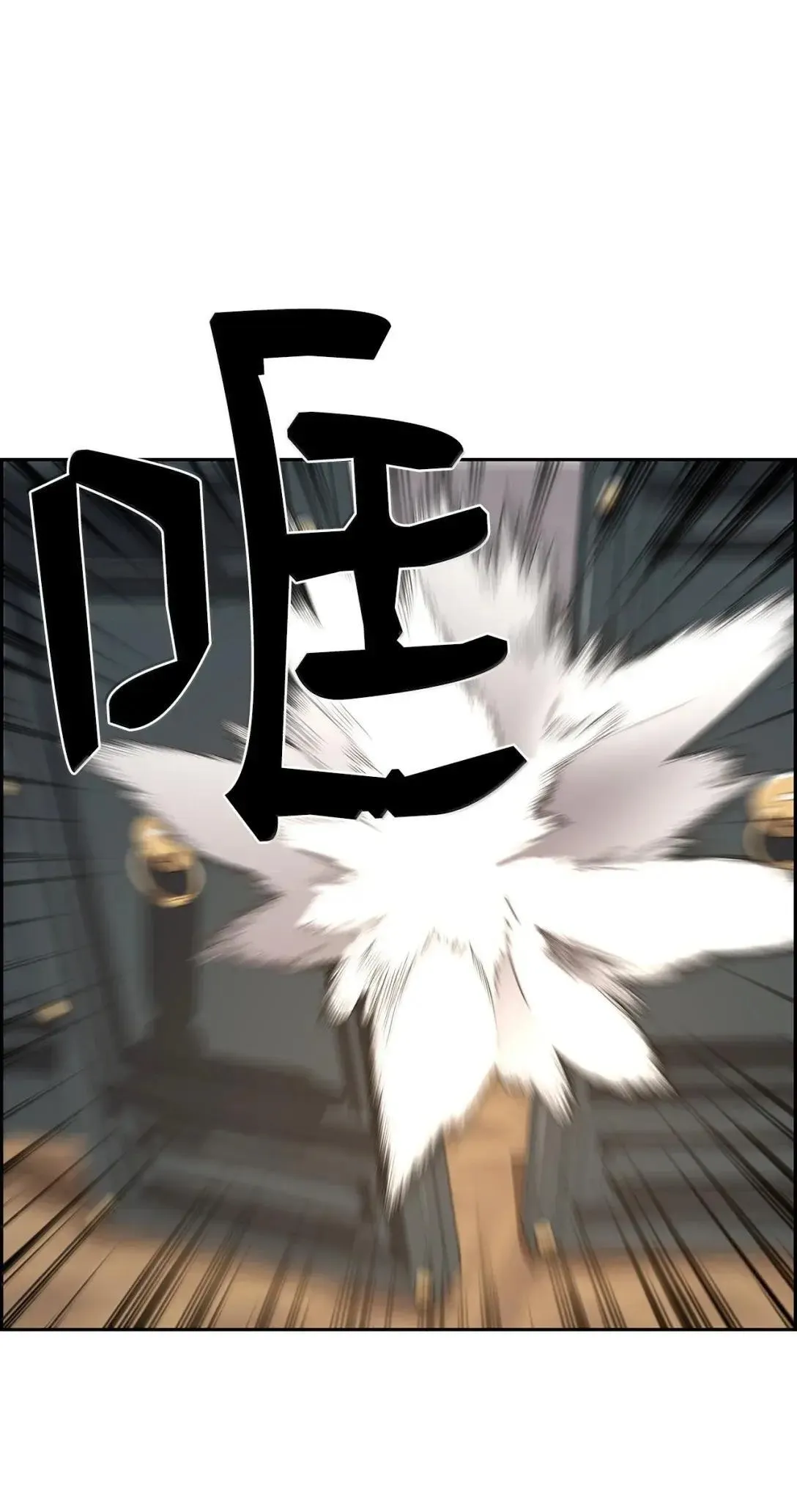 40 胡杉7