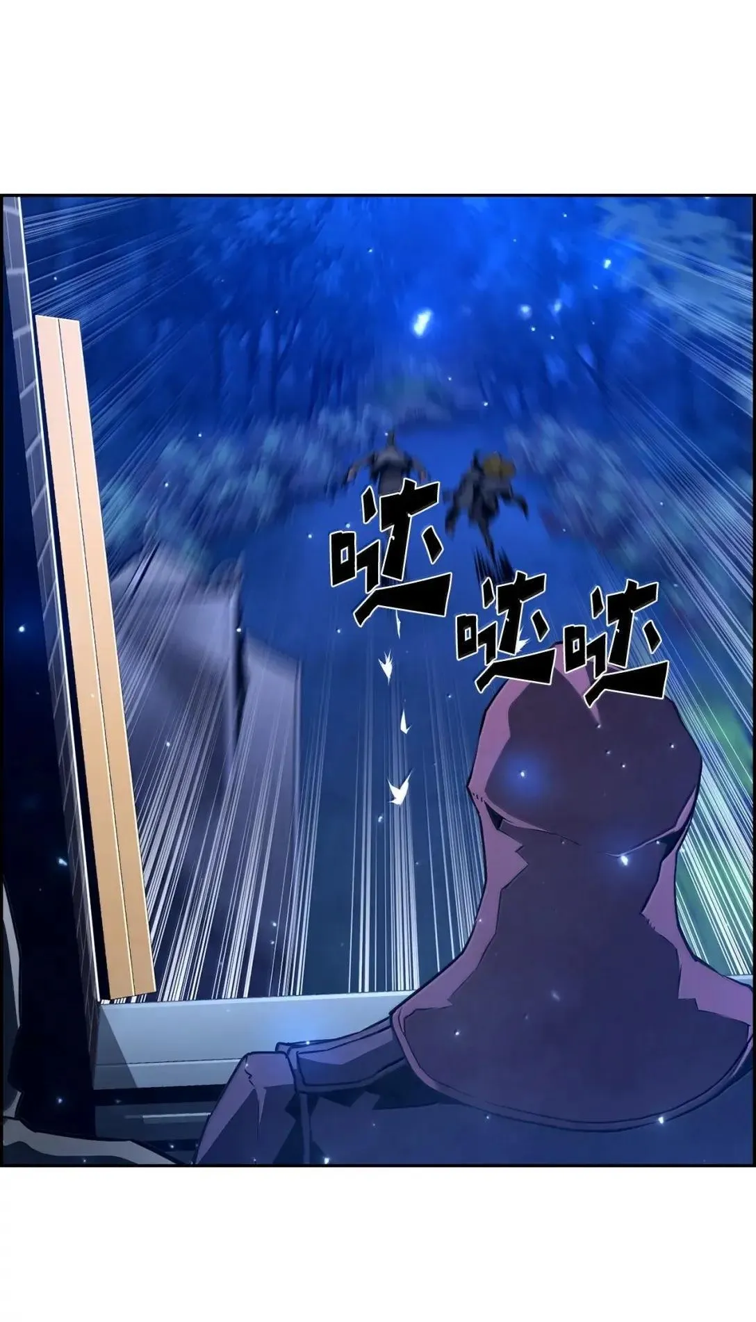 40 胡杉26