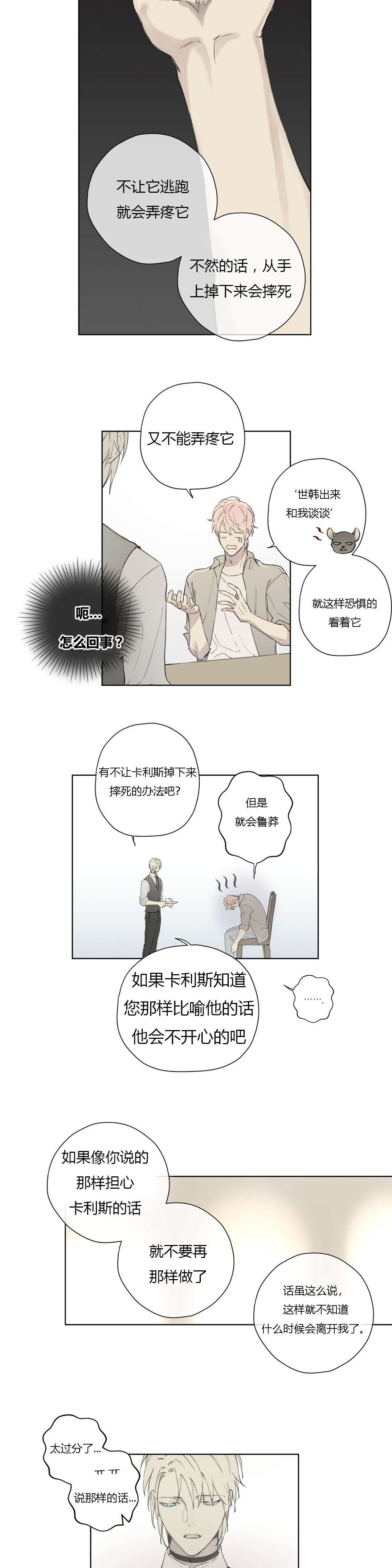 第79章：世韩和卡利斯的糖（下）4