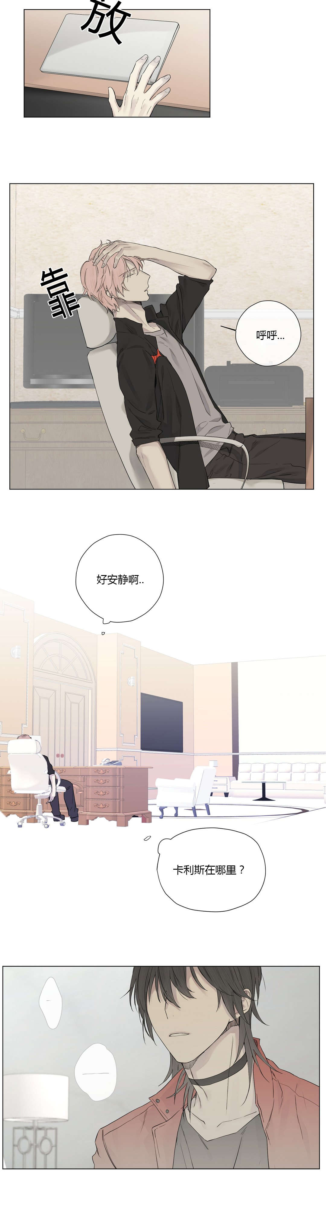 第20章：神秘组织11