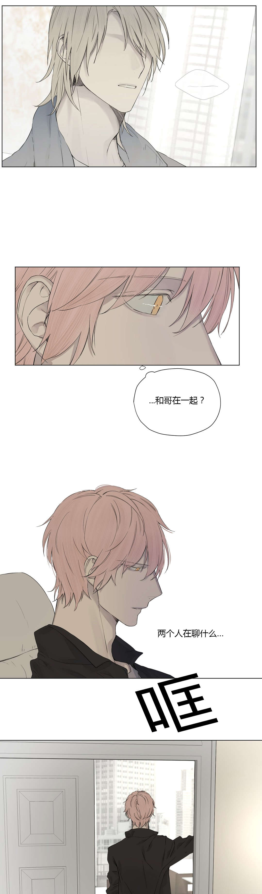 第20章：神秘组织12