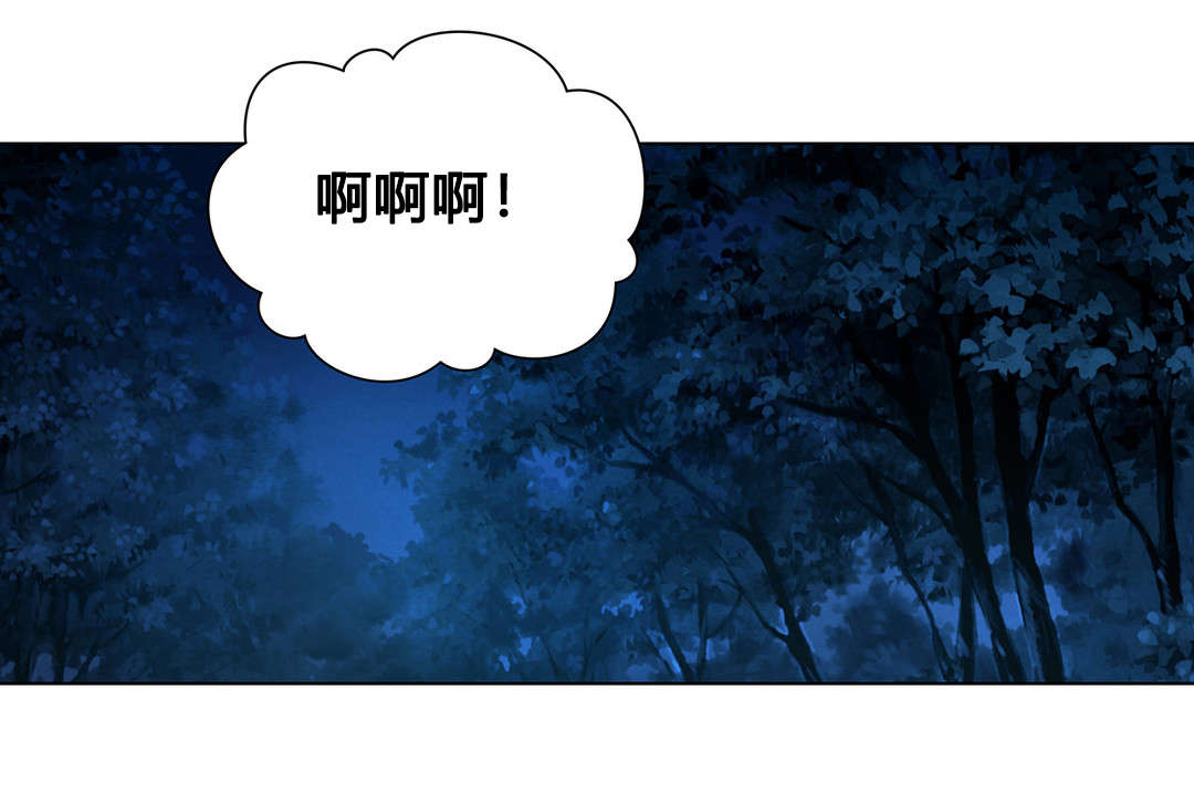 第78章：莲花15
