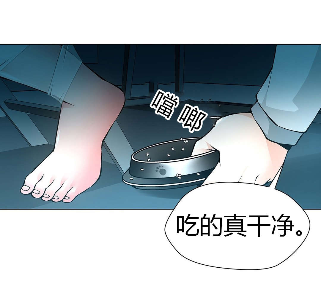 第52章：梅花12