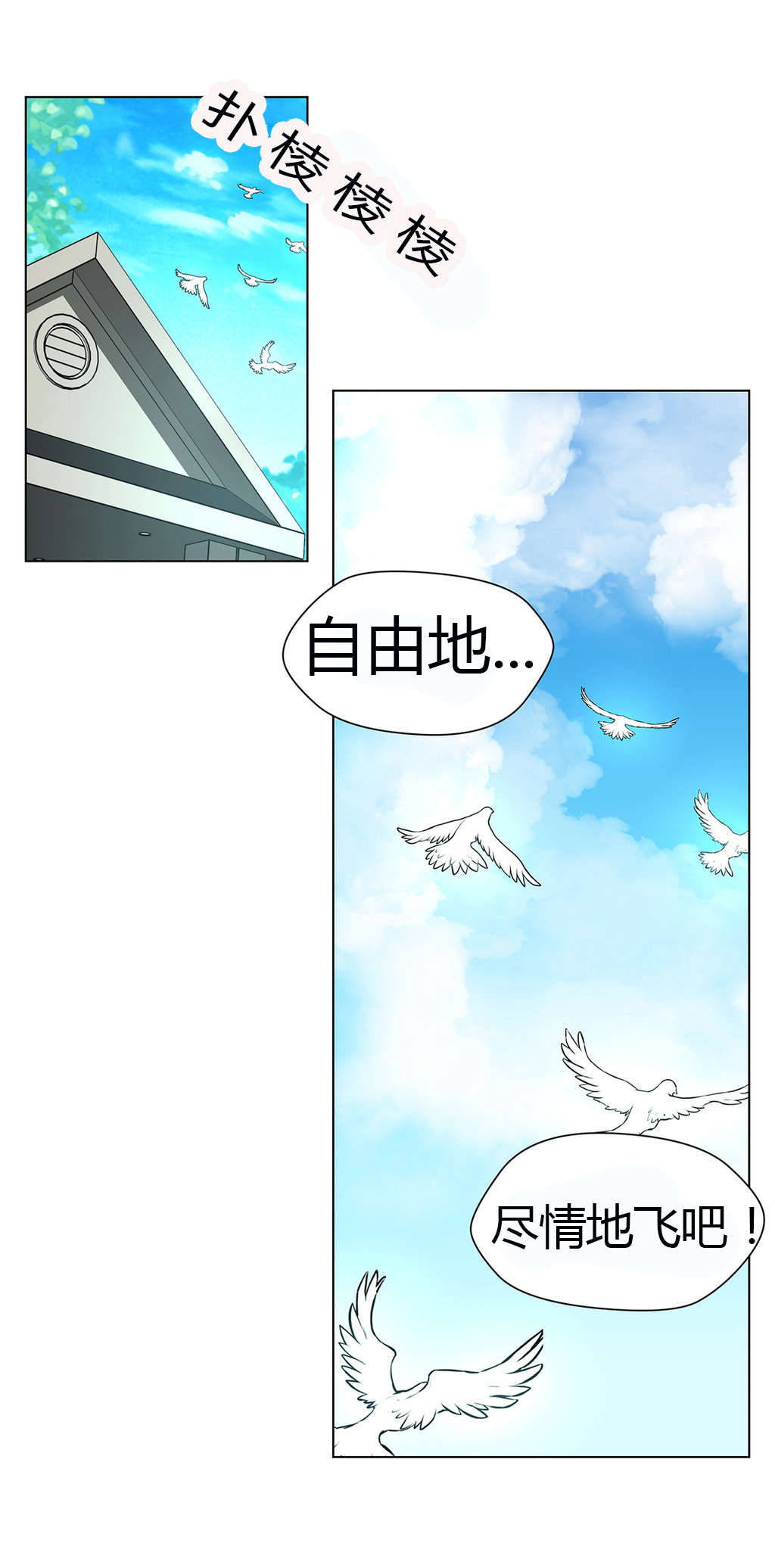 第42章：自由的飞8