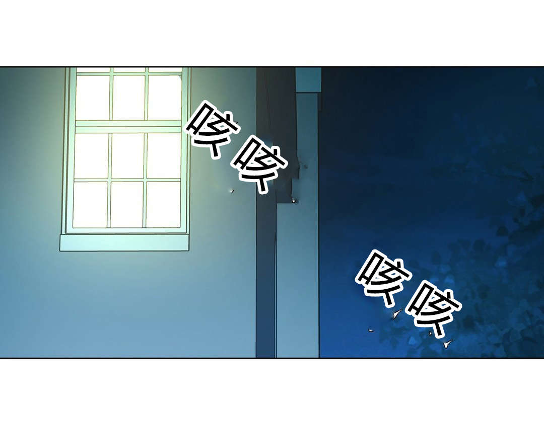 第52章：梅花11