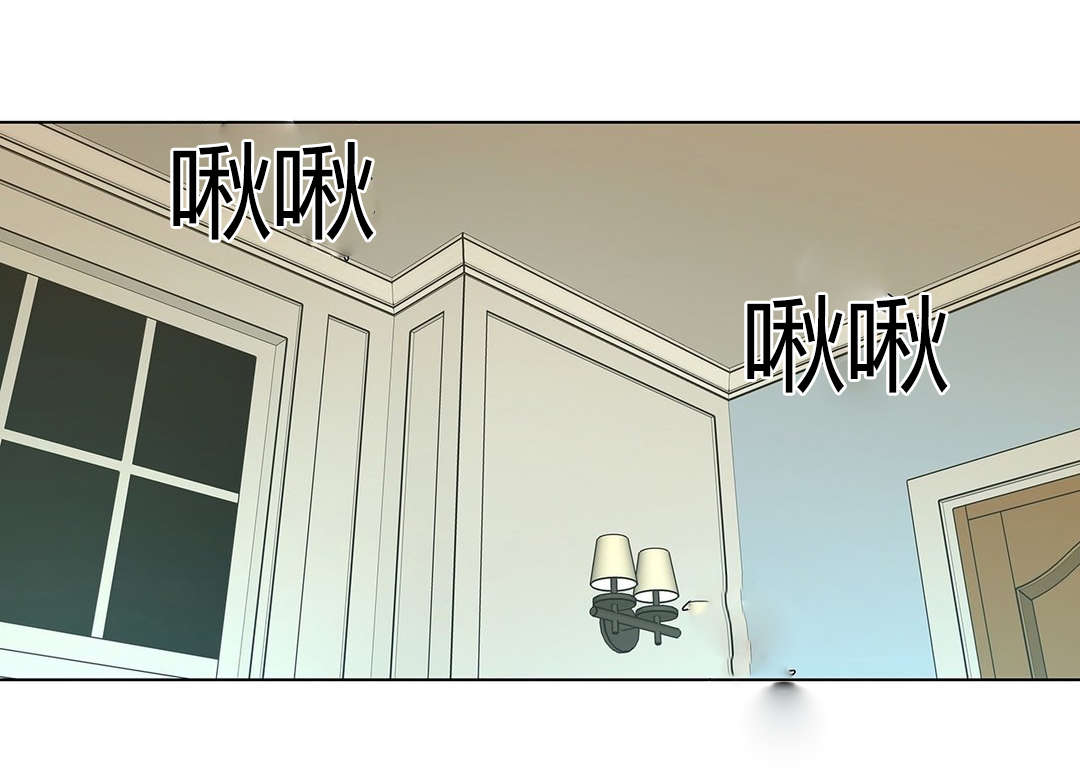 第67章：疯了12