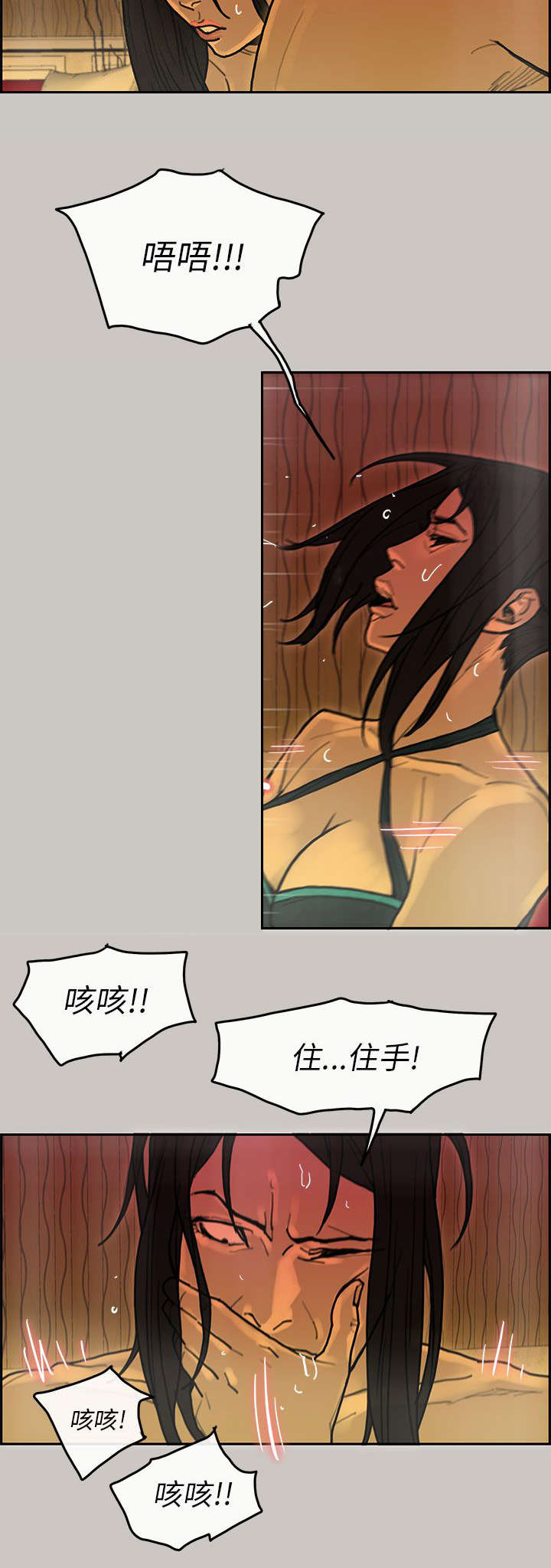 第30章：贵宾10
