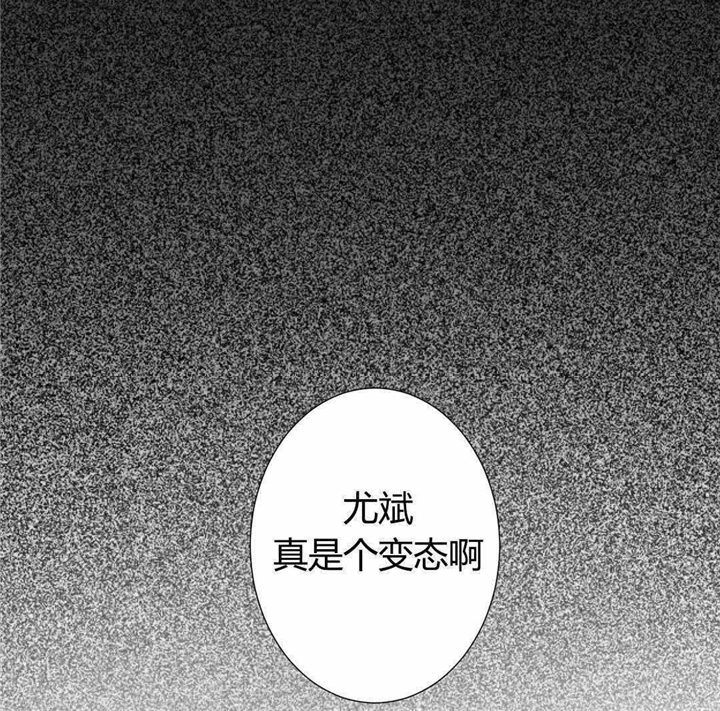 第3章：我的梦里3