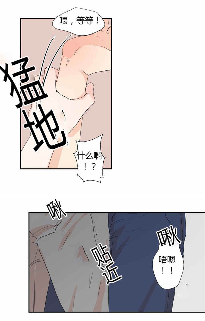 第40章：我喜欢你4
