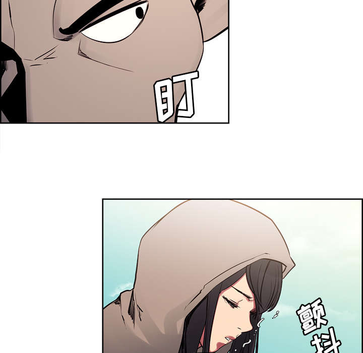 第30章：伪装39