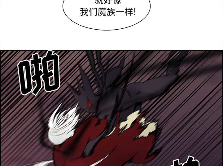 第41章：来自中原29
