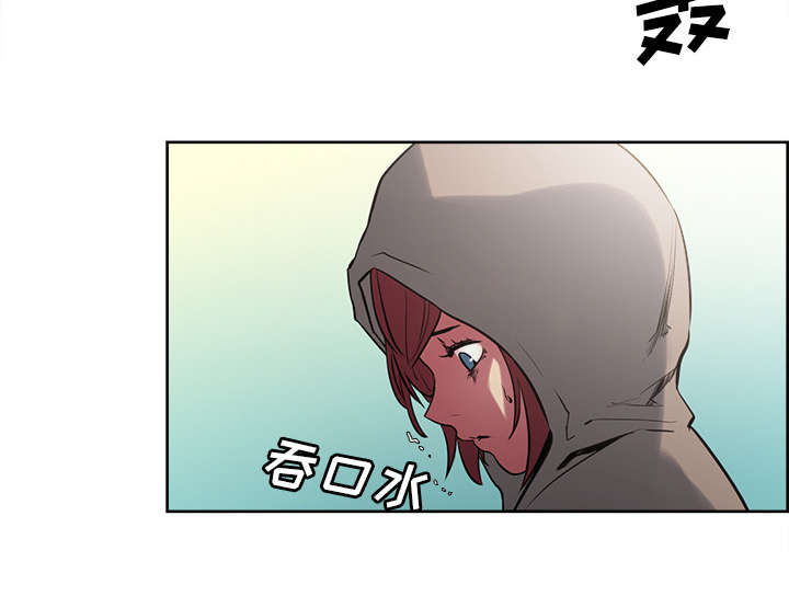 第30章：伪装18