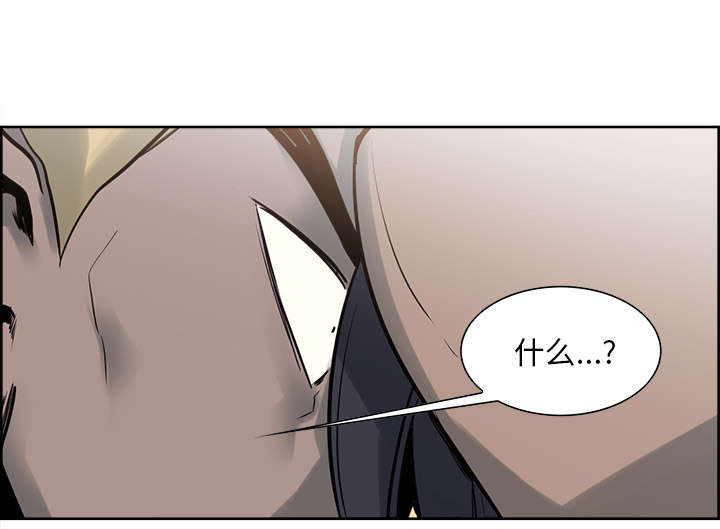 第30章：伪装49