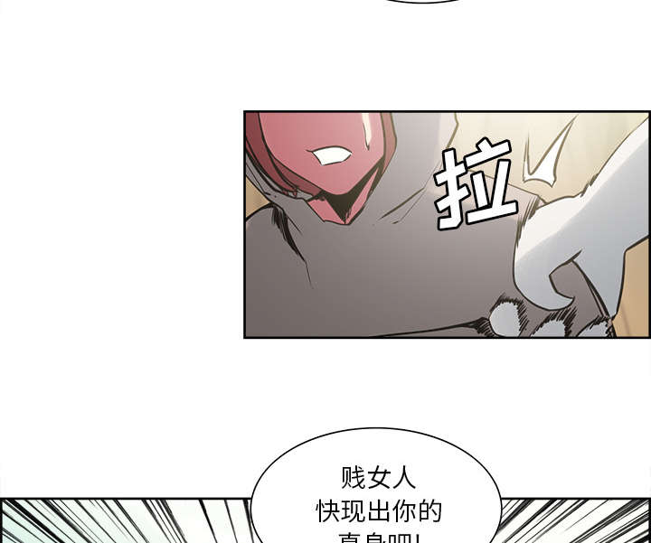 第30章：伪装27
