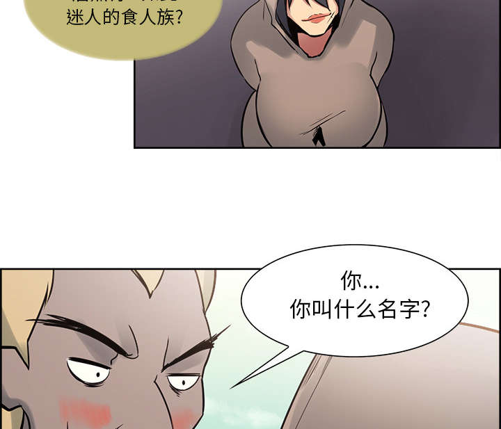 第30章：伪装46