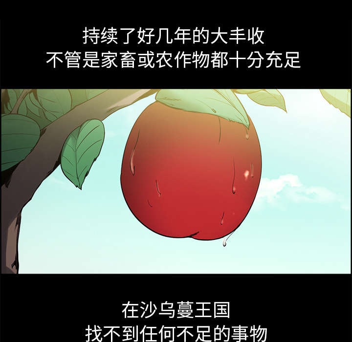 第26章：预言11