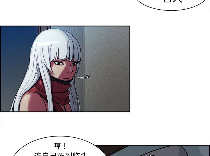 第8章：白影子军团40