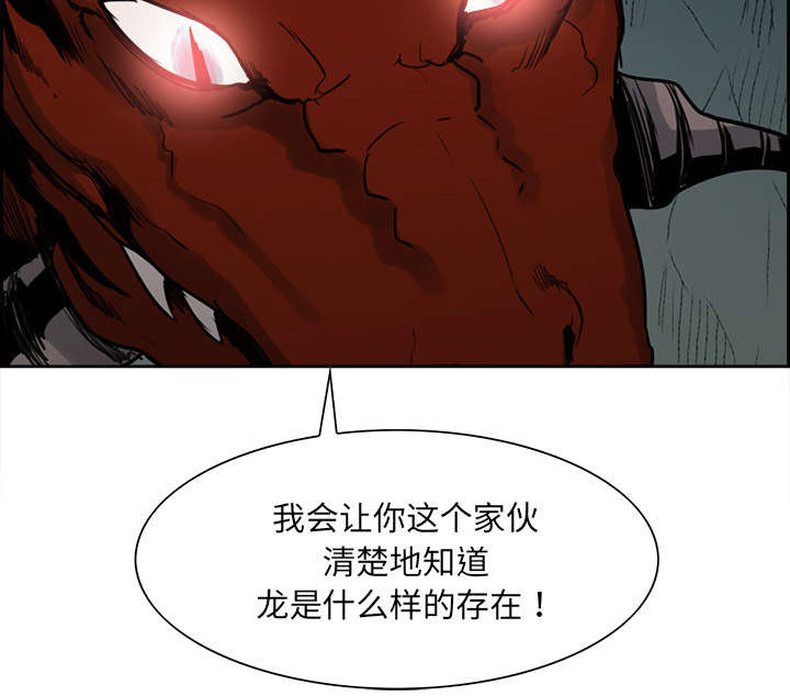 第18章：龙是什么样的存在44